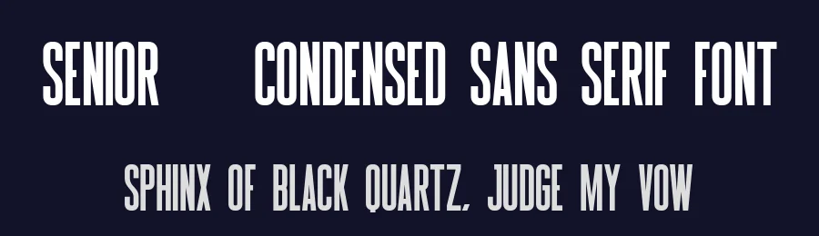 Senior – Condensed Sans Serif Font by Craftedtype — Display Font — thumbnail 2