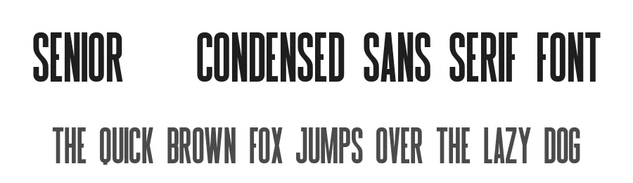 Senior – Condensed Sans Serif Font by Craftedtype — Display Font