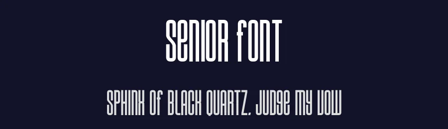 Senior Font by Craftedtype — Decorative Font — thumbnail 2
