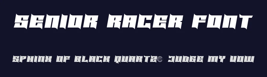 Senior Racer Font by RaisProject — Display Font — thumbnail 2