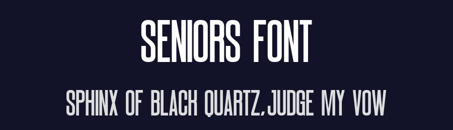Seniors Font by Craftedtype — Decorative Font — thumbnail 2