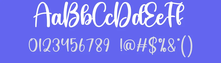 Sensational Script Font by creativeletter — Script Handwritten Font — thumbnail 3