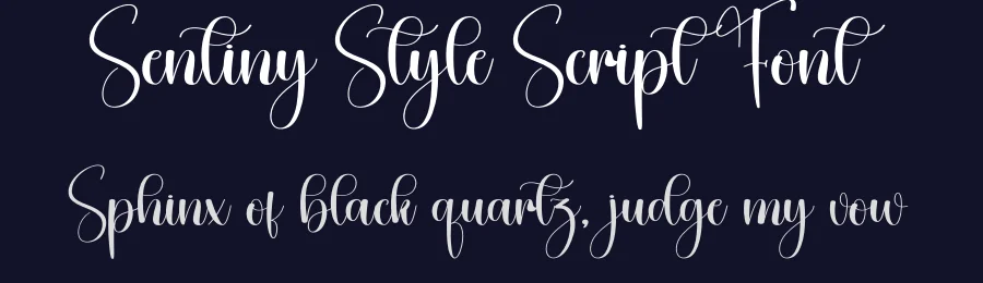 Sentiny Style Script Font by creativeletter — Script Handwritten Font — thumbnail 2