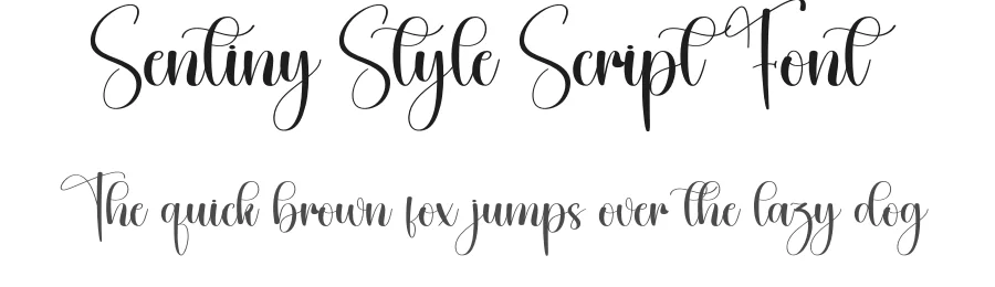 Sentiny Style Script Font by creativeletter — Script Handwritten Font