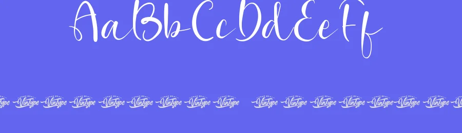 Serandani Font by VinType — Script Handwritten Font — thumbnail 3