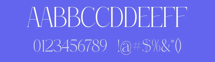 Serandipity Boutique Font Duo by Storytype — Serif Font — thumbnail 3