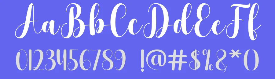 Seraphina Penelope Script Font by DN Creative — Script Handwritten Font — thumbnail 3