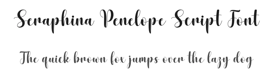 Seraphina Penelope Script Font by DN Creative — Script Handwritten Font