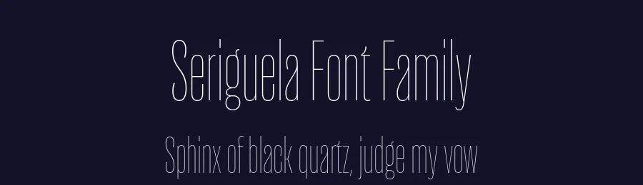 Seriguela Font Family by Latinotype — Sans Serif Font — thumbnail 2