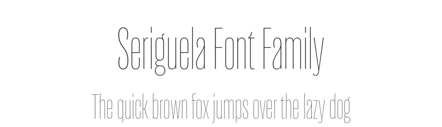 Seriguela Font Family by Latinotype — Sans Serif Font