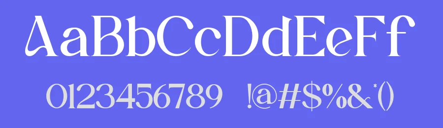Serohya Font by ErmediaStudio — Serif Font — thumbnail 3