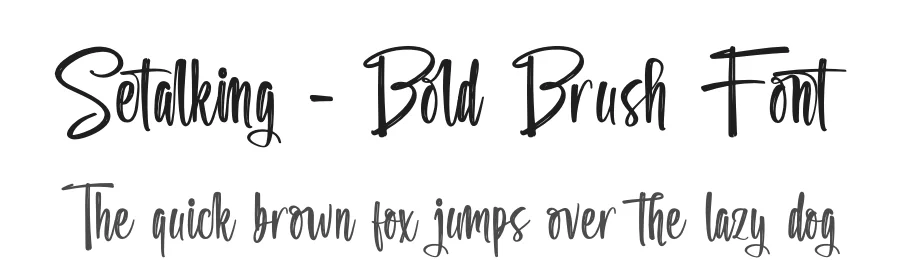 Setalking – Bold Brush Font by stylishtype.co — Script Handwritten Font