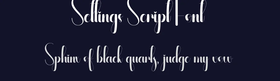 Settings Script Font by andikastudio — Script Handwritten Font — thumbnail 2
