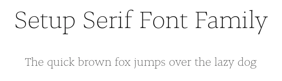 Setup Serif Font Family by Setup Type — Serif Font