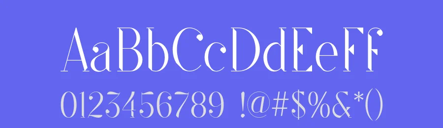 SF Kingston Font Family by Anthony James — Serif Font — thumbnail 3