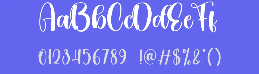 Shabby Calligraphy Font by creativeletter — Script Handwritten Font — thumbnail 3