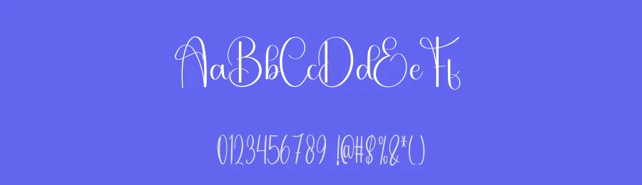 Shabby – Elegant Script Handwritten Font by freshtypeink — Script Handwritten Font — thumbnail 3