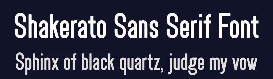 Shakerato Sans Serif Font by Vilova — Sans Serif Font — thumbnail 2