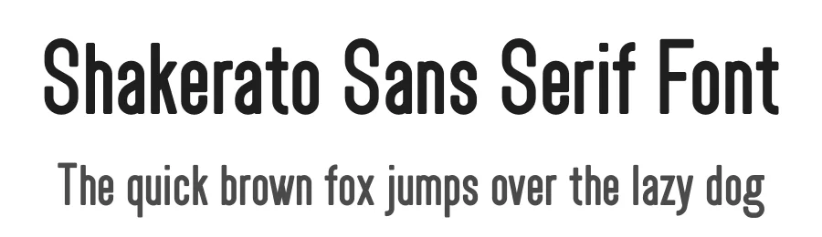 Shakerato Sans Serif Font by Vilova — Sans Serif Font