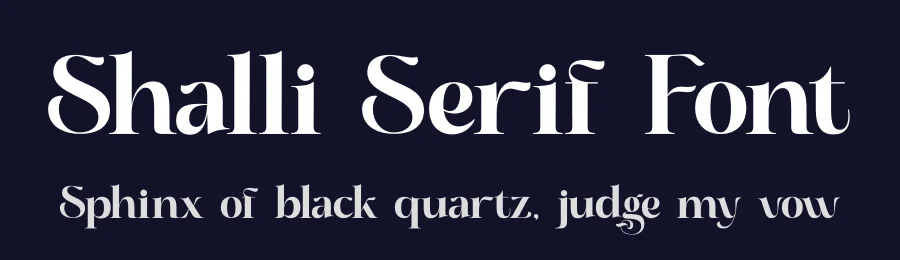 Shalli Serif Font by saemoon creative — Decorative Font — thumbnail 2