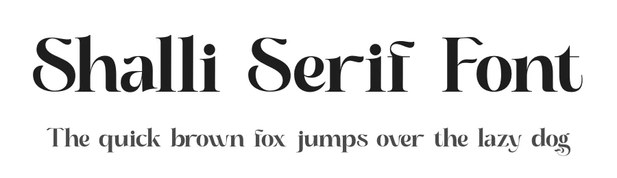 Shalli Serif Font by saemoon creative โ Decorative Font