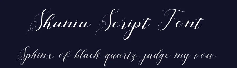 Shania Script Font by Teweka — Script Handwritten Font — thumbnail 2