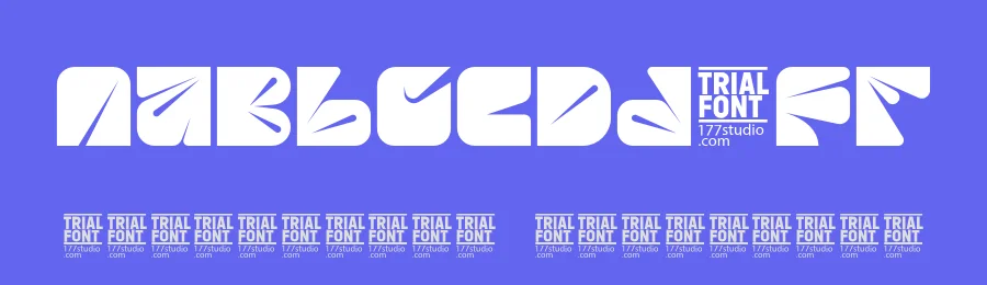 Shared Canons – Geometric Font by 177Studio — Display Font — thumbnail 3
