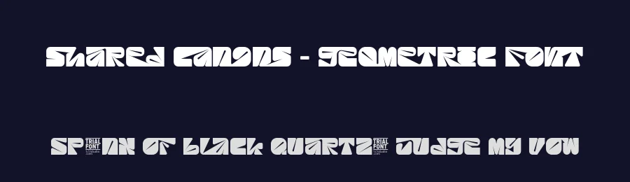 Shared Canons – Geometric Font by 177Studio — Display Font — thumbnail 2