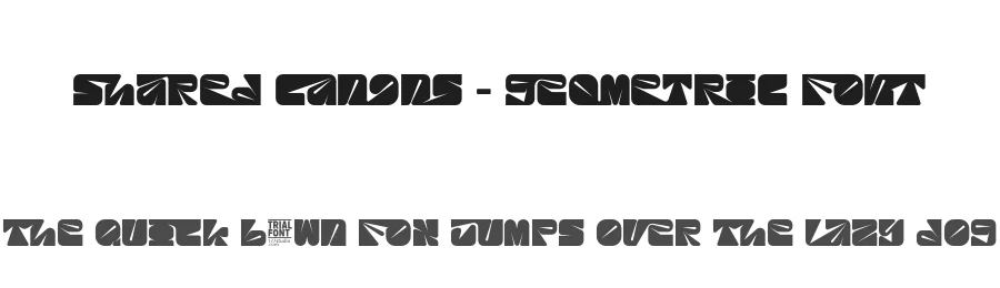 Shared Canons – Geometric Font by 177Studio — Display Font