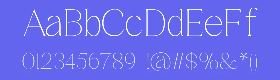 Sharink Font Family by Nia Typework — Serif Font — thumbnail 3
