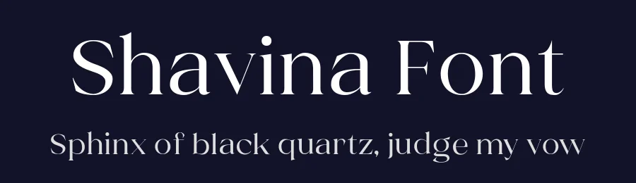 Shavina Font by YUKITA CREATIVE — Serif Font — thumbnail 2
