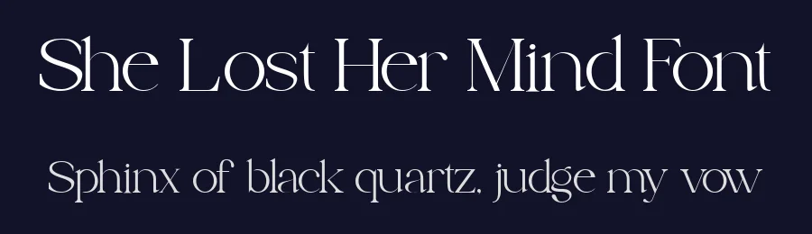 She Lost Her Mind Font by ClevUs — Serif Font — thumbnail 2