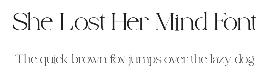 She Lost Her Mind Font by ClevUs — Serif Font