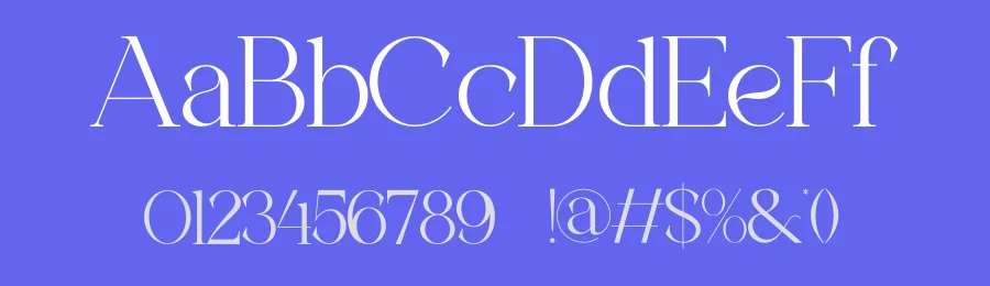 Sheina Modern Serif Font by ErmediaStudio — Serif Font — thumbnail 3