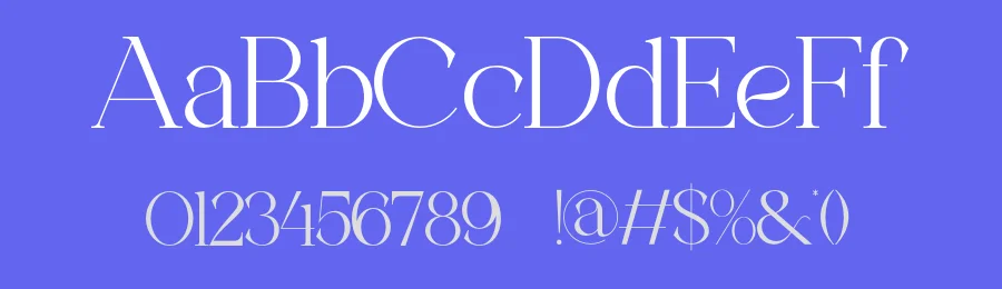 Sheina Serif Font by ErmediaStudio — Serif Font — thumbnail 3
