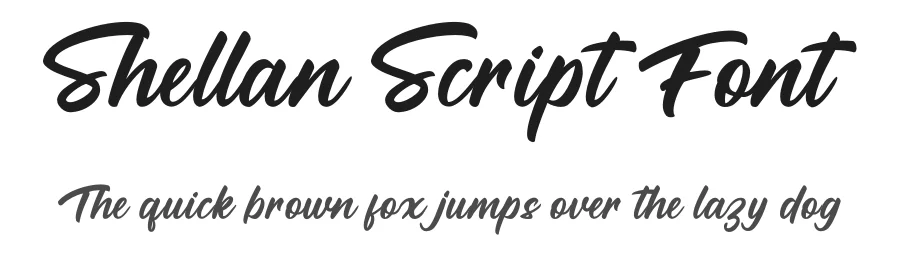 Shellan Script Font by Kong Font — Script Handwritten Font
