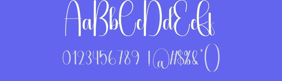 Shellina Script Font by creativeletter — Script Handwritten Font — thumbnail 3