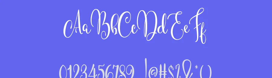 Shellonitha Script Font by Areatype — Script Handwritten Font — thumbnail 3