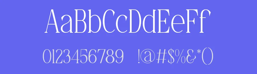Shery Font by SlideShoot — Serif Font — thumbnail 3