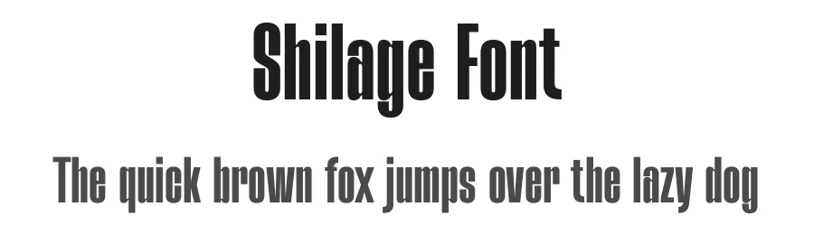 Shilage Font by TypeLogue — Sans Serif Font