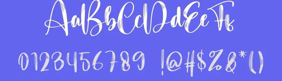 Shimmy Script Font by creativeletter — Script Handwritten Font — thumbnail 3