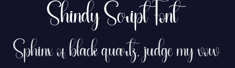 Shindy Script Font by andikastudio — Script Handwritten Font — thumbnail 2