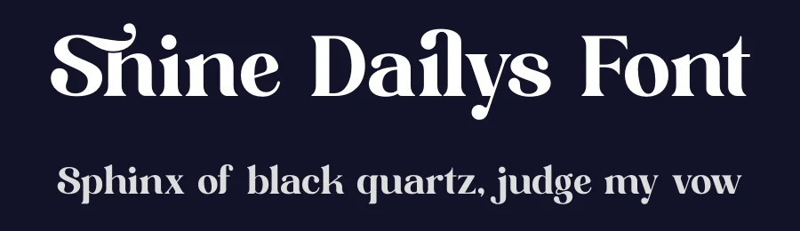 Shine Dailys Font by timelesstype.co — Serif Font — thumbnail 2