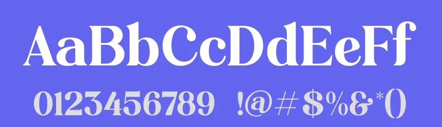 Shine Dailys Serif Font by timelesstype.co — Serif Font — thumbnail 3