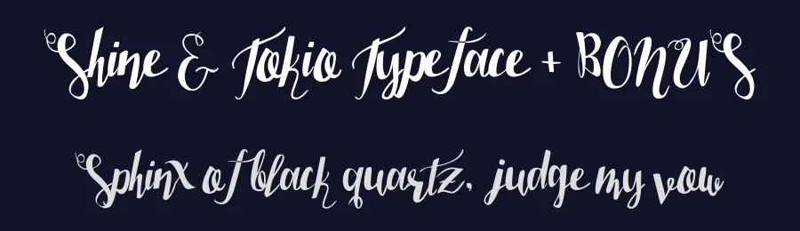 Shine & Tokio Typeface + BONUS by Typeface — Script Handwritten Font — thumbnail 2