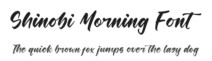 Shinobi Morning Font by stylishtype.co — Script Handwritten Font