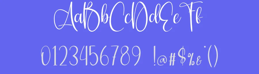Shiny Another Script Font by creativeletter — Script Handwritten Font — thumbnail 3