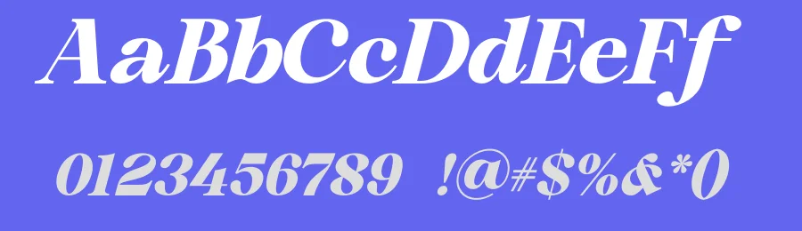 Shiny Black Font by MaikoHatta — Serif Font — thumbnail 3
