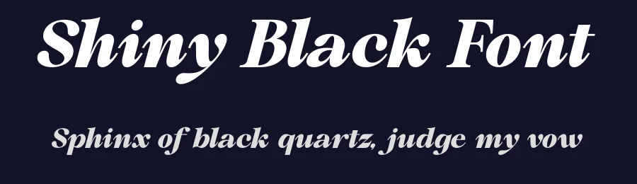 Shiny Black Font by MaikoHatta — Serif Font — thumbnail 2