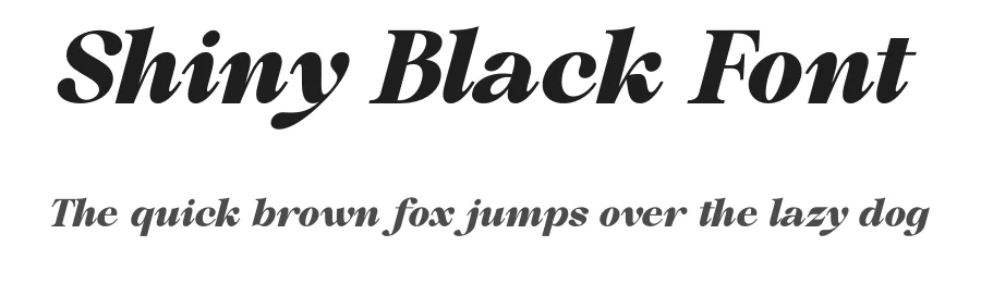 Shiny Black Font by MaikoHatta — Serif Font
